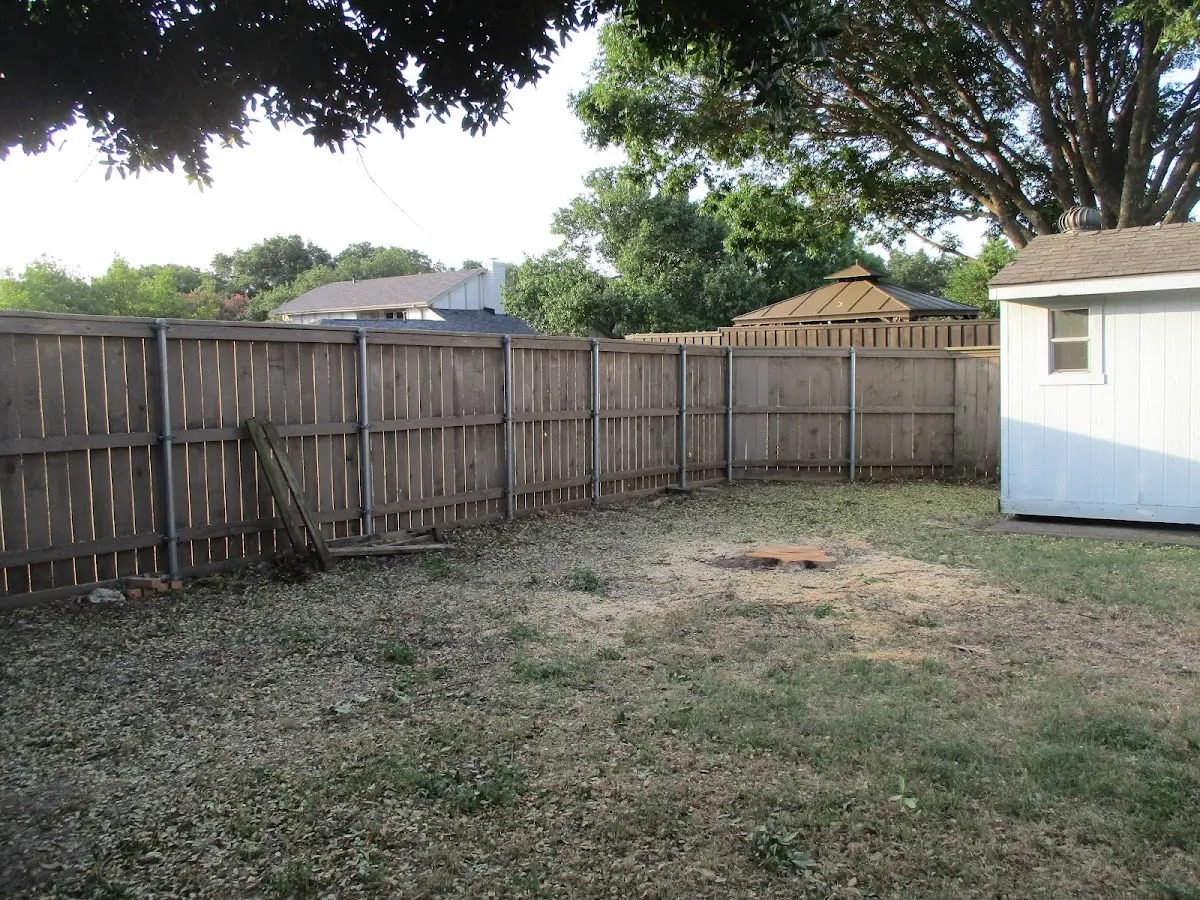 Cleared yard after professional tree removal in Deadwood